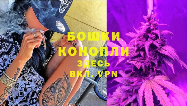 крисы Зеленокумск