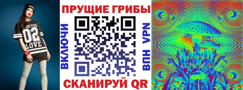 Псилоцибиновые грибы Psilocybine cubensis  Черкесск 